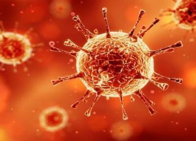 شناسایی 169 مورد نو مبتلا به کرونا ویروس در ایلام