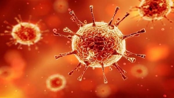 شناسایی 169 مورد نو مبتلا به کرونا ویروس در ایلام
